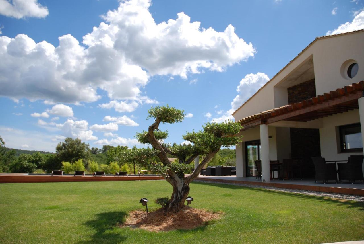 Villa Otilia-Bed And Breakfast-Chambres D'Hotes En Provence Rians  Exterior photo